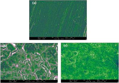 Utilization of green inhibitors as a sustainable corrosion control method for steel in petrochemical industries: A review